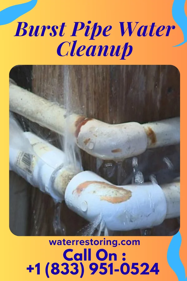 Burst Pipe Water Cleanup in Littleton Common, MA