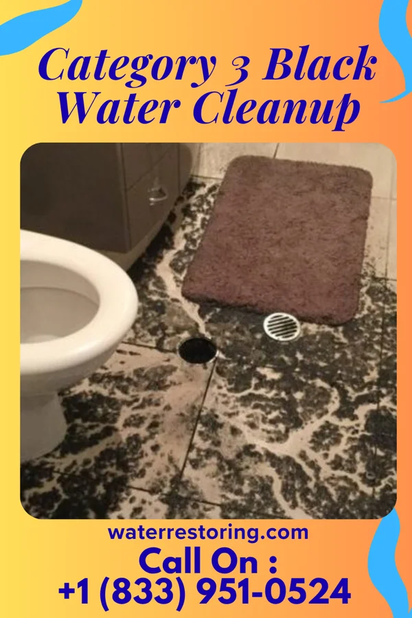 Category 3 Black Water Cleanup in Littleton Common, MA
