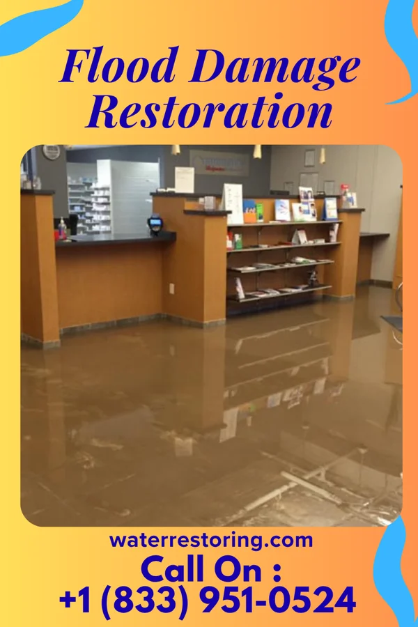 Flood Damage Restoration in Littleton Common, MA