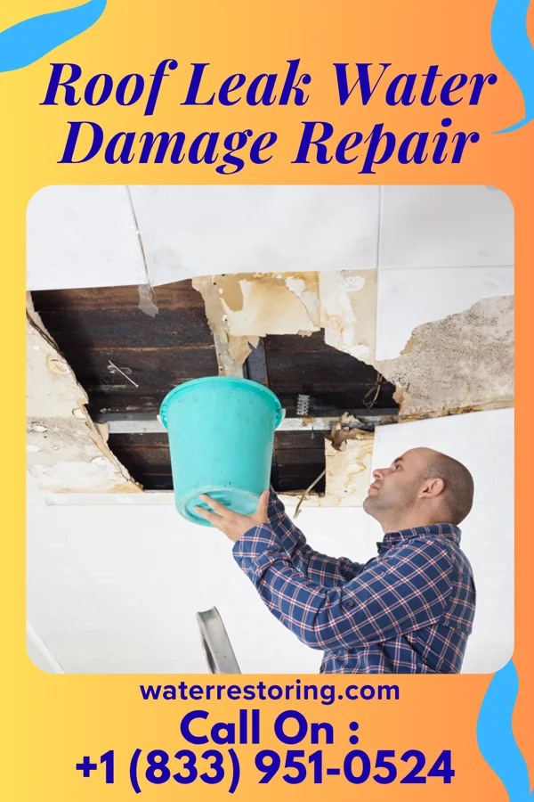 Roof Leak Water Damage Repair in Littleton Common, MA