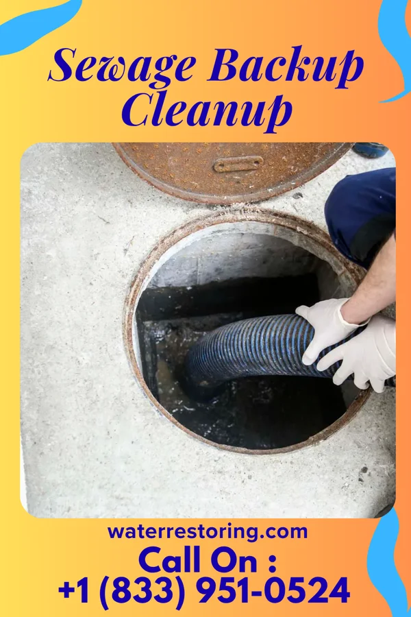 Sewage Backup Cleanup in Littleton Common, MA