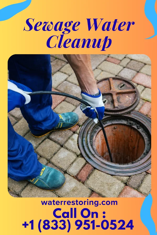 Sewage Water Cleanup in Littleton Common, MA